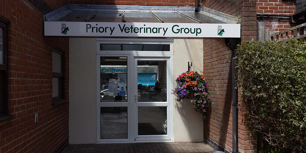 Highcliffe Vets - Entrance to Surgery - Priory Veterinary Group
